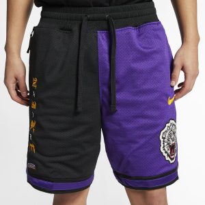 Atmos x Nike Lebron shorts